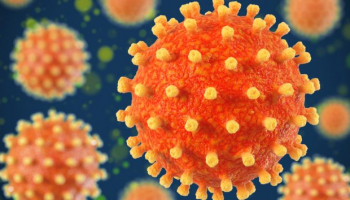 Misvattingen over herpes